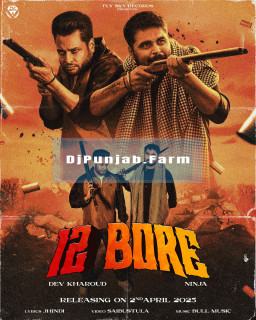 12 Bore mp3 download